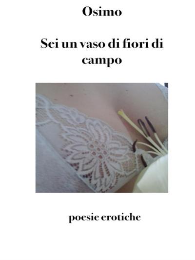 Sei un vaso di fiori di campo
