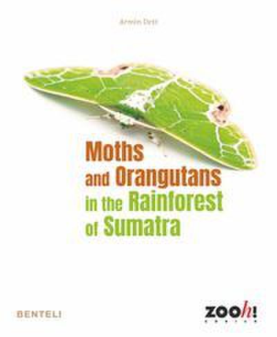Moths and Orangutans in the Rainforest of Sumatra
