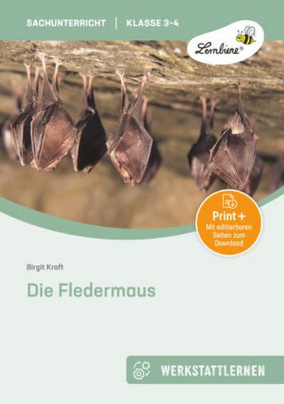 Die Fledermaus (Set)