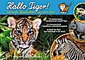 Hallo Tiger!: Tierische Geschichten aus dem Zoo