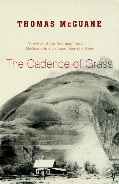 The Cadence of Grass