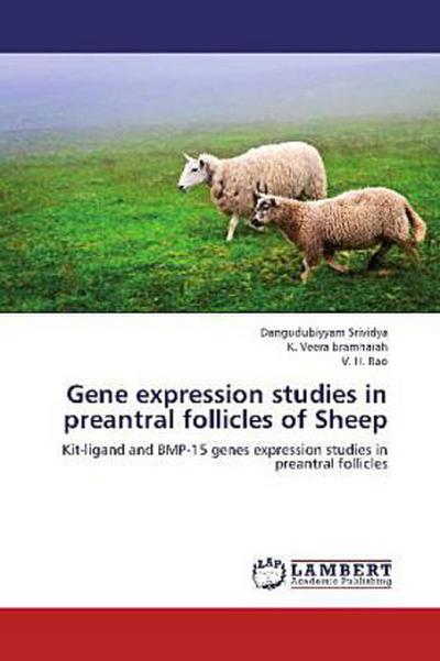 Gene expression studies in preantral follicles of Sheep