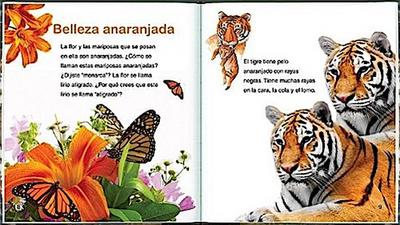 Spa-Observar La Naturaleza