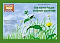 Die kleine Raupe entdeckt die Wiese / Kamishibai Bildkarten