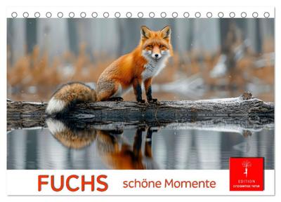 Fuchs - schöne Momente (Tischkalender 2026 DIN A5 quer), CALVENDO Monatskalender