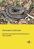 Reptilien und Amphibien Deutschlands in Wort und Bild