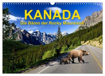 KANADA - Die Bären der Rocky Mountains (Wandkalender 2026 DIN A3 quer), CALVENDO Monatskalender