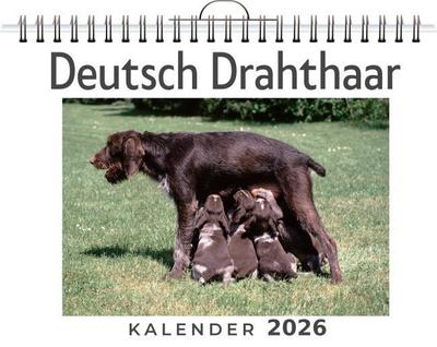 Deutsch Drahthaar