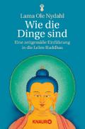 Wie die Dinge sind