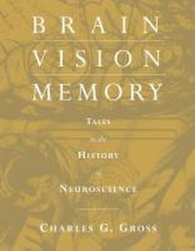 Brain, Vision, Memory