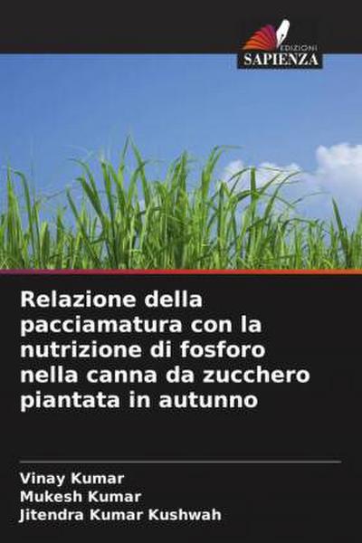 Relazione della pacciamatura con la nutrizione di fosforo nella canna da zucchero piantata in autunno