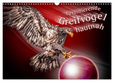 Faszinierende Greifvögel hautnah (Wandkalender 2026 DIN A3 quer), CALVENDO Monatskalender