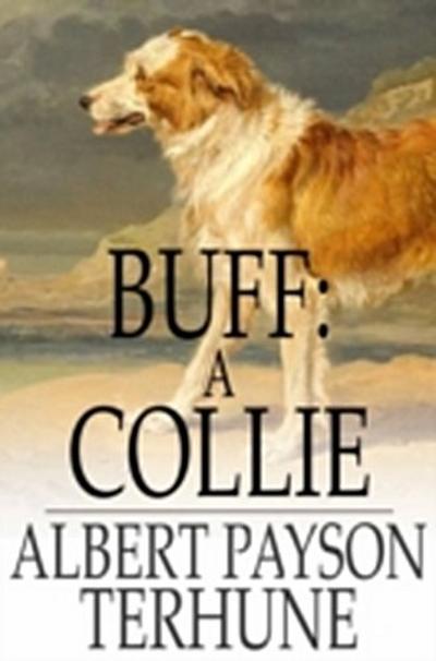 Buff: A Collie