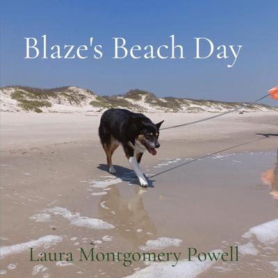 Blaze’s Beach Day