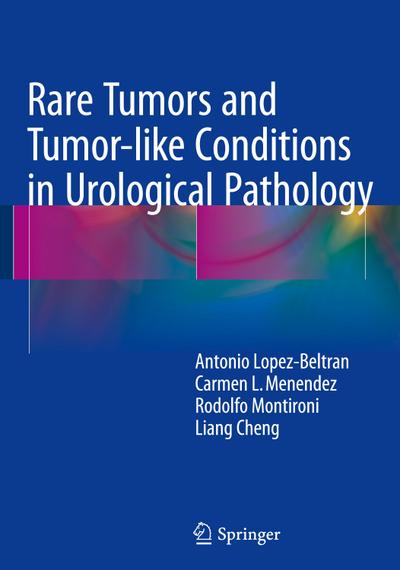 Rare Tumors and Tumor-like Conditions in Urological Pathology