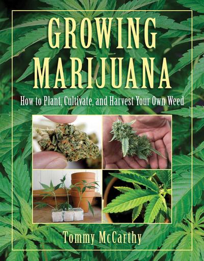 Growing Marijuana