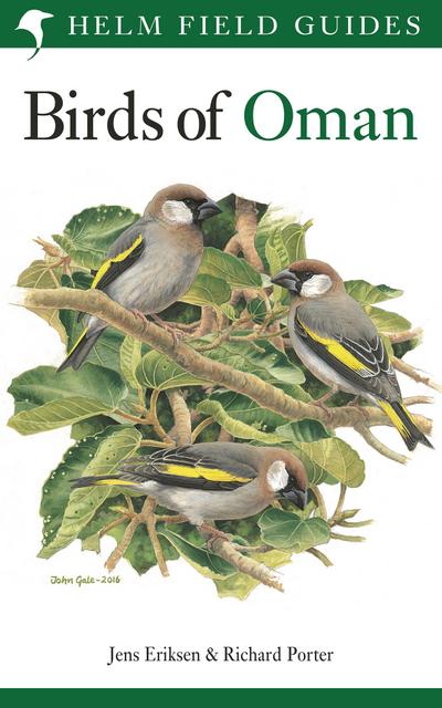 Field Guide to the Birds of Oman