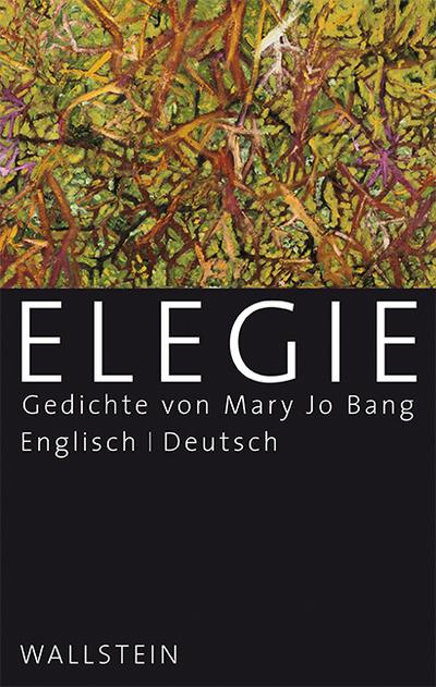 Elegie: Gedichte - Mary Jo Bang