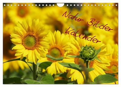 Natur Bilder Kalender (Wandkalender 2025 DIN A4 quer), CALVENDO Monatskalender