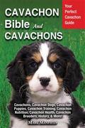 Cavachon Bible And Cavachons