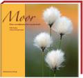 Moor