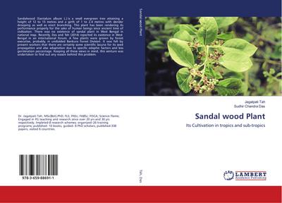 Sandal wood Plant
