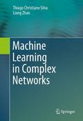 Machine Learning in Complex Networks