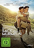 Ein Sack voll Murmeln