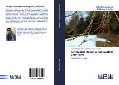 Kinetyczne badania nad syntez¿ amoniaku