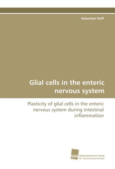 Glial cells in the enteric nervous system