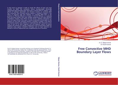 Free Convective MHD Boundary Layer Flows
