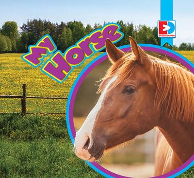 My Horse