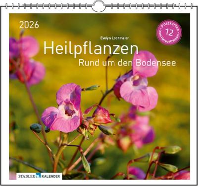 Heilpfanzen rund um den Bodensee 2026