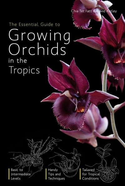 Essential Guide to Growing Orchids