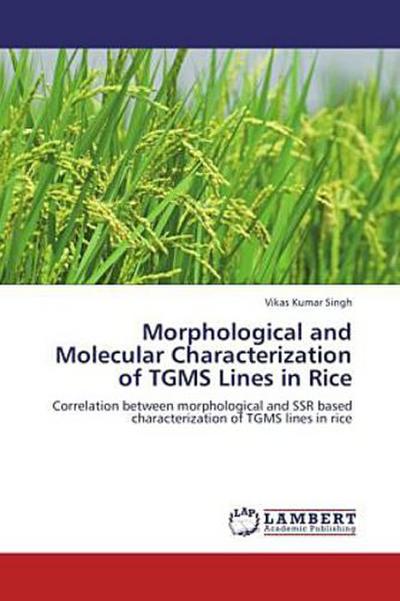 Morphological and Molecular Characterization of TGMS Lines in Rice