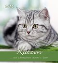 Katzen - Cats 2013 Postkartenkalender