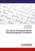 On Some Fractional-Order Electromagnetic Problems