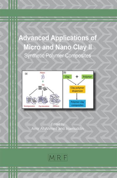 Advanced Applications of Micro and Nano Clay II