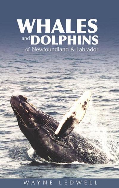 Ledwell, W: Whales & Dolphins of Newfoundland & Labrador