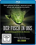 Der Fisch in uns - Die Entwicklungsgeschichte des 