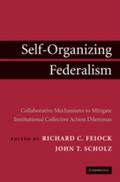 Self-Organizing Federalism