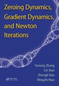 Zeroing Dynamics, Gradient Dynamics, and Newton Iterations