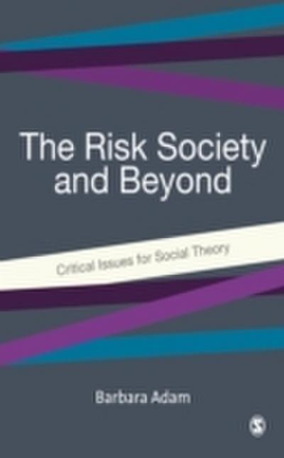 Risk Society and Beyond