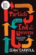 Particle at the End of the Universe