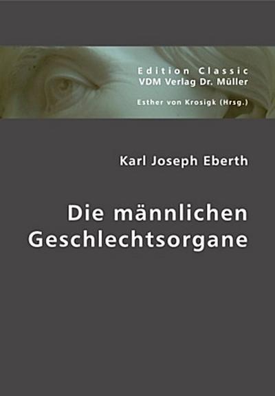 Die männlichen Geschlechtsorgane