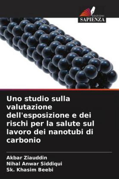 Uno studio sulla valutazione dell’esposizione e dei rischi per la salute sul lavoro dei nanotubi di carbonio