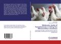Molecular study of Toxoplasmosis in biting lice Me