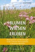 Blumen Wiesen Erleben