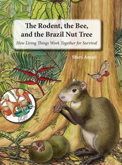 The Rodent, the Bee,  and the Brazil Nut Tree