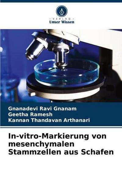In-vitro-Markierung von mesenchymalen Stammzellen aus Schafen